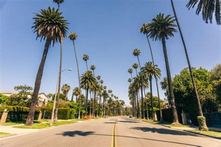 Raised In Beverly Hills, California, Gscnine