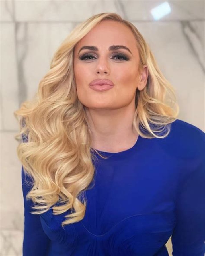Rebel Wilson's New Boyfriend Is a Good Fit for Her 'He's a Match for