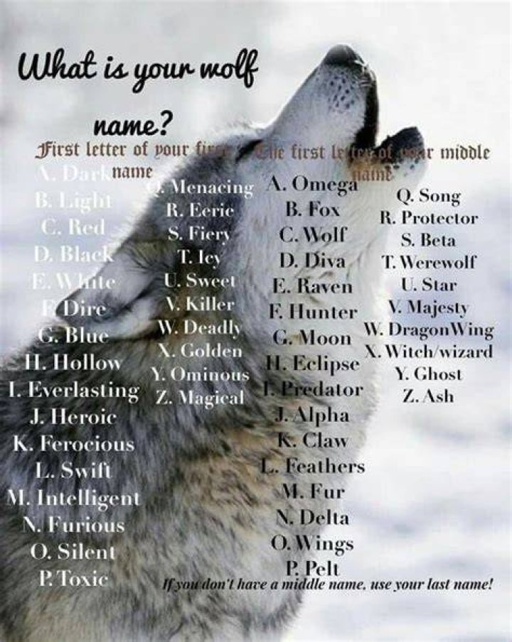 Red Feathers Wolf name, Wolf quotes, Funny name generator