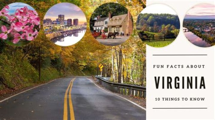 Remembering Travis Stewart: A Virginia Legacy