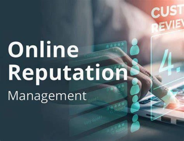 Reputation, Webshubz