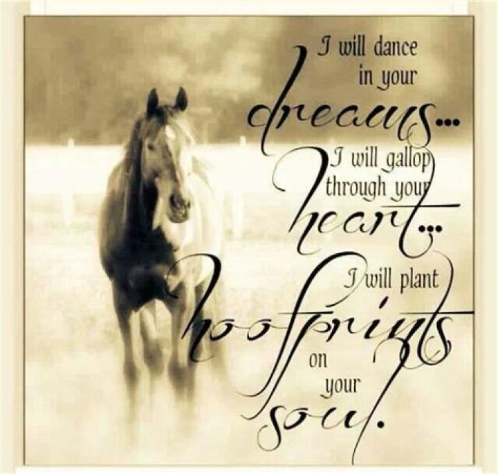 Rip Horse Quotes. QuotesGram