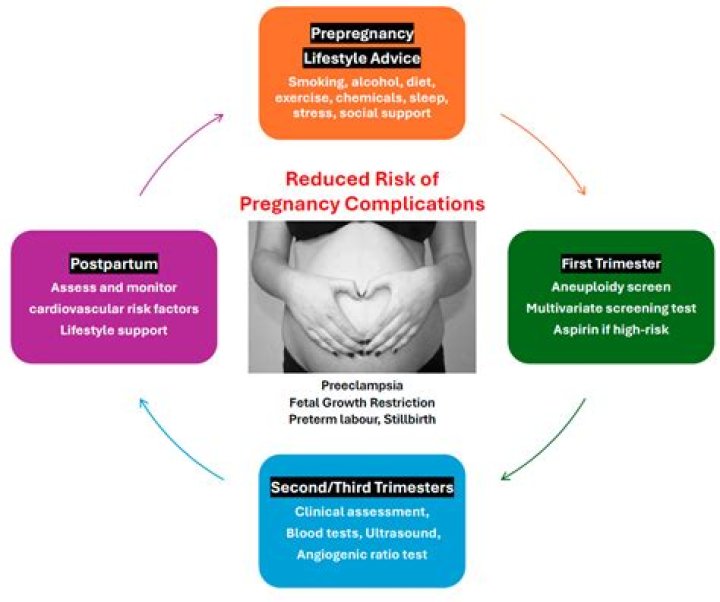 Risks And Complications, Fashytrend