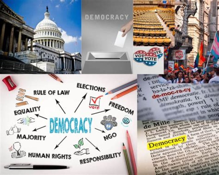 Role In The Democratic Party, Gscone