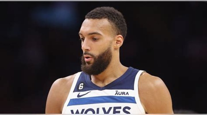 Rudy Gobert issues apology after punching Timberwolves teammate