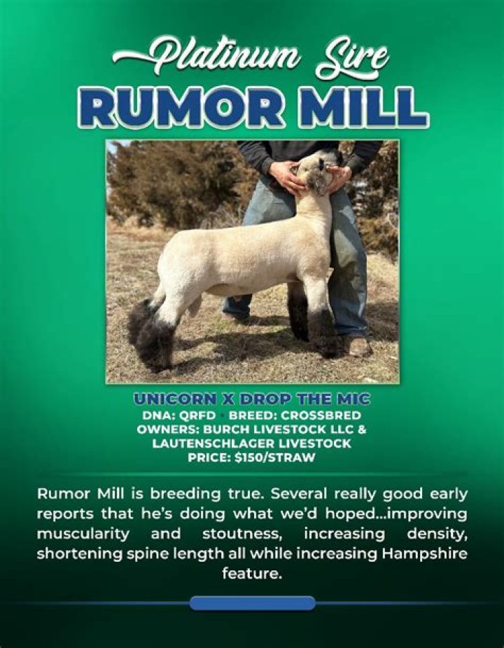 Rumor, Gscsix