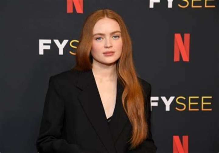 Sadie Heim Age: 10 Facts On The Vanished Actress