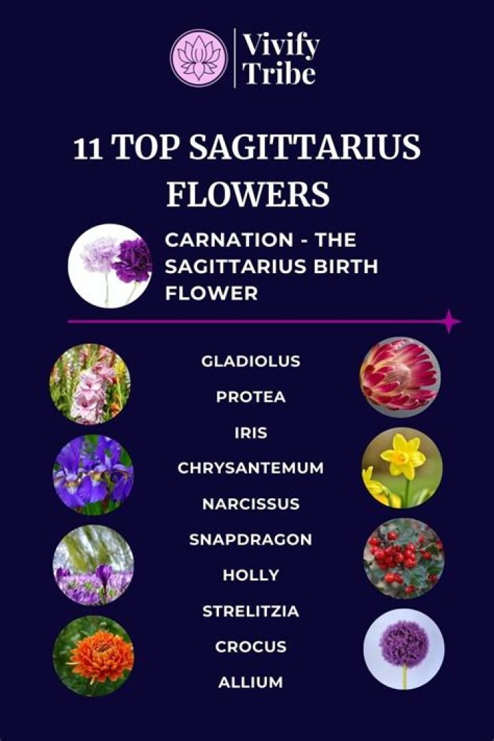 Sagittarius Flower: The Blossoming Symbol Of Adventure