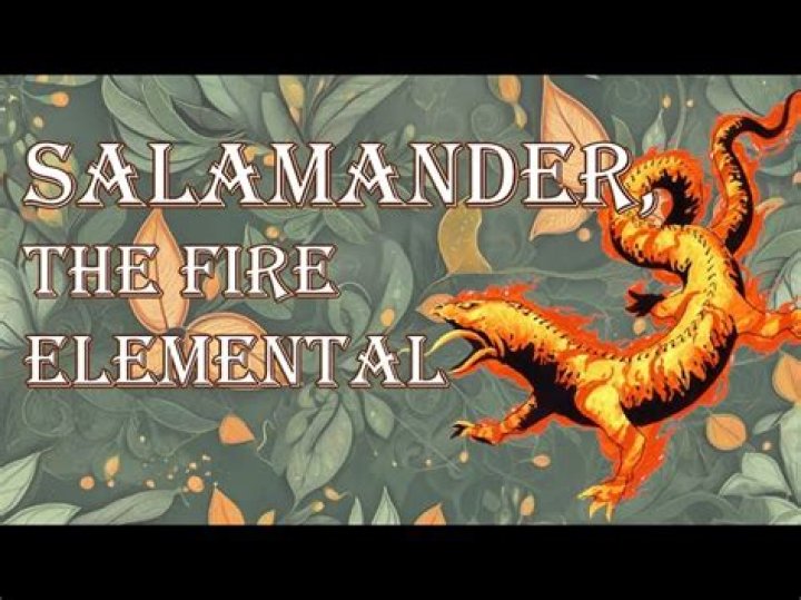 Salamanders TeenWolf Next Generation Wikia Fandom