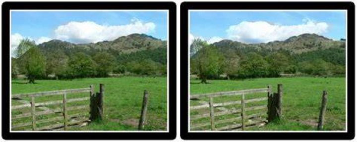 Sample crossed stereo view