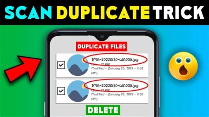 scan duplicate