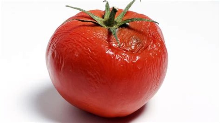 Scott MacArthur Pictures Rotten Tomatoes