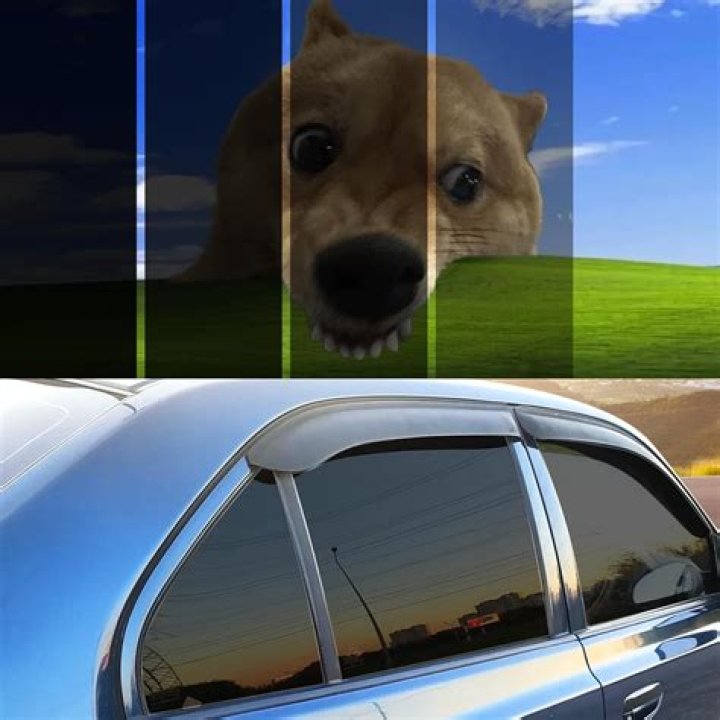Scratch Percent (Amount)