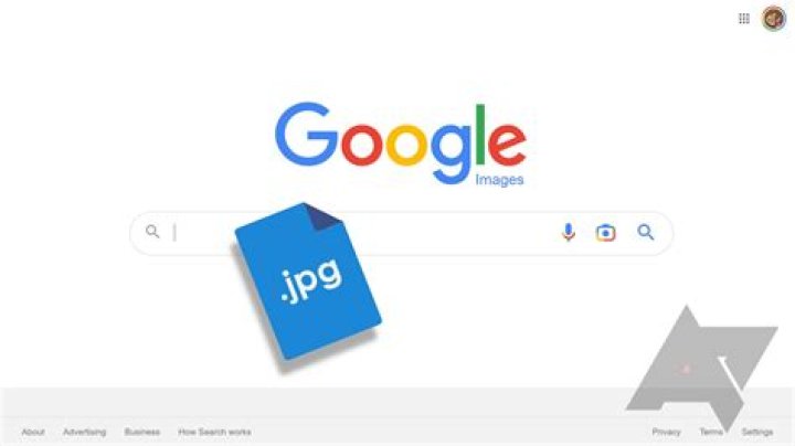 Search img