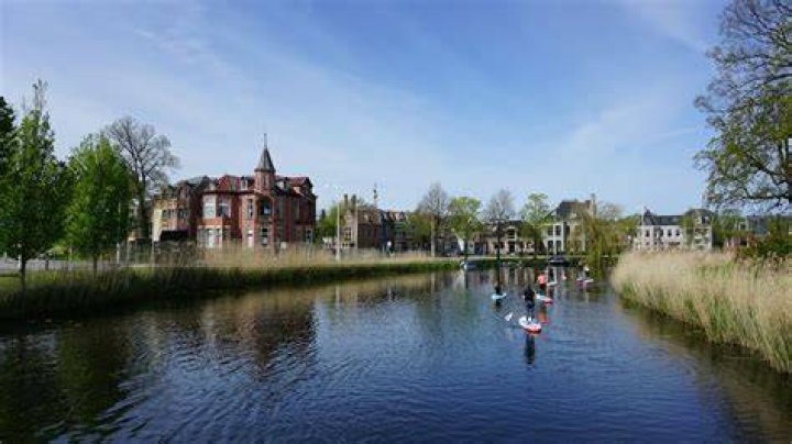 SEO Bureaus Netherlands