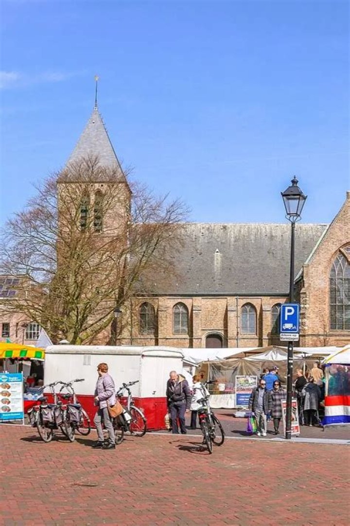SEO Bureaus Spijkenisse