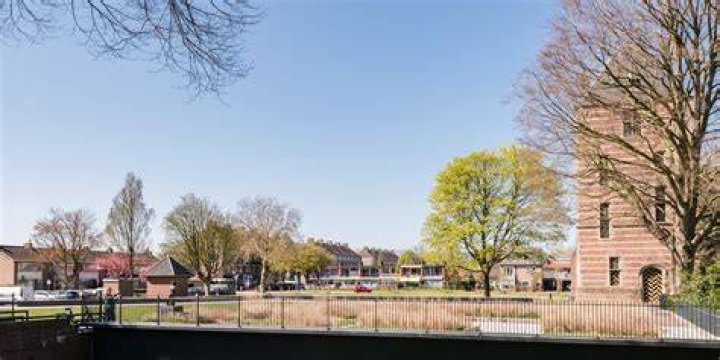 SEO Consultants IJsselstein