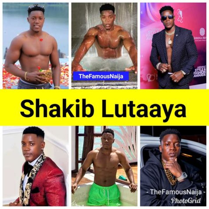 Shakib Lutaaya is lucky to have me Zari Pulse Uganda