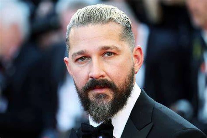 Shia LaBeouf Getting Treatment for Alcohol Addiction E! Online UK