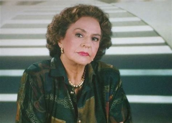 Silvia Derbez Telenovela Database Wikia Fandom