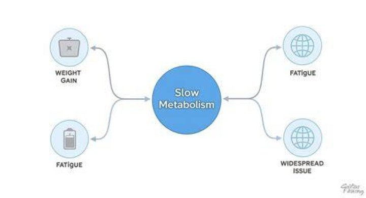 Slow Metabolism, Gsctwo