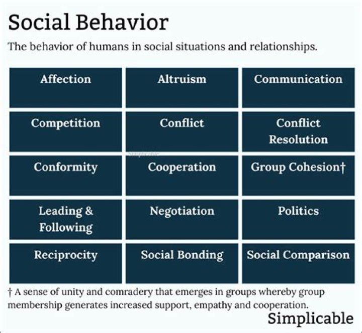 Social Expectations, Gscnine