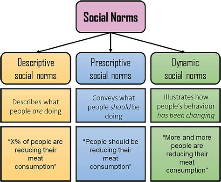 Social Norms, Gscthree