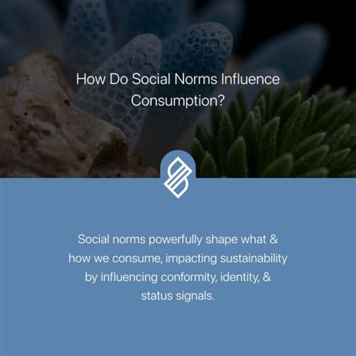 Societal Norms, Gscteen