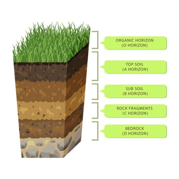 Soil PH, Gscthree