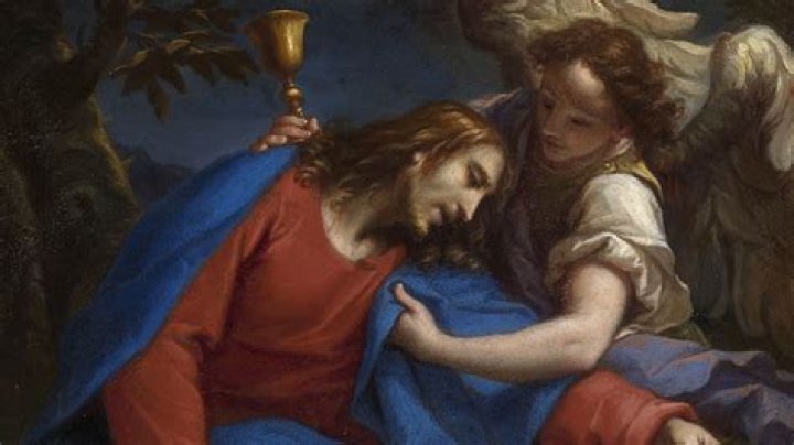 Sorrowful 'Blue Nights' Didion Mourns Her Daughter NCPR News