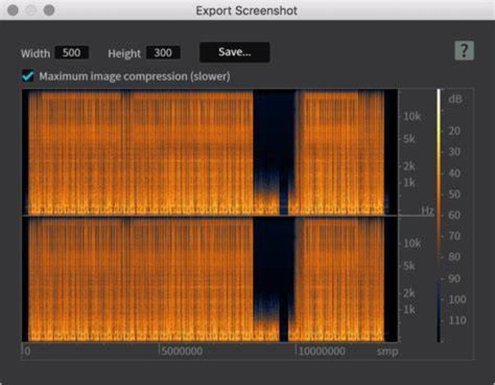 Spectrogram Maximum Image Compression