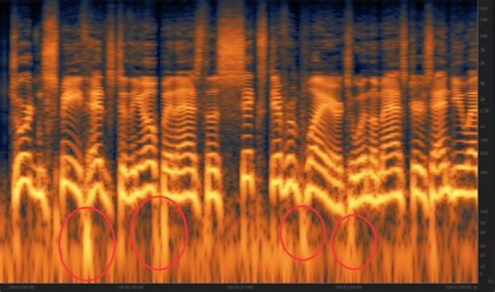 Spectrogram with plosives