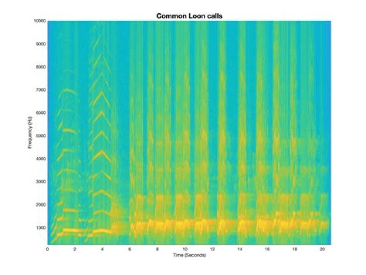 Spectrogram with Subtracted Selections