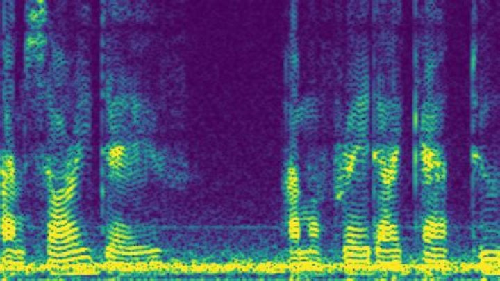spectrogram