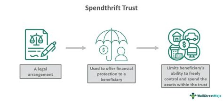 Spendthrift Trust, Fashytrend