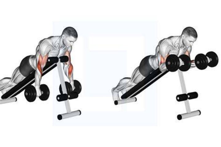 Spider Curl vs Preacher Curl What's the Difference?