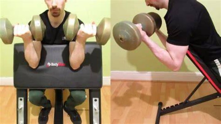 Spider Curls vs Preacher Curls Which is Better for Building Huge