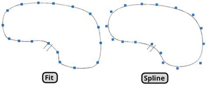 Spline Sketch.tif