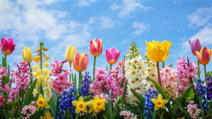 Spring