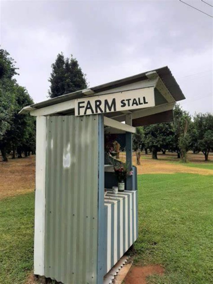 STALLS
