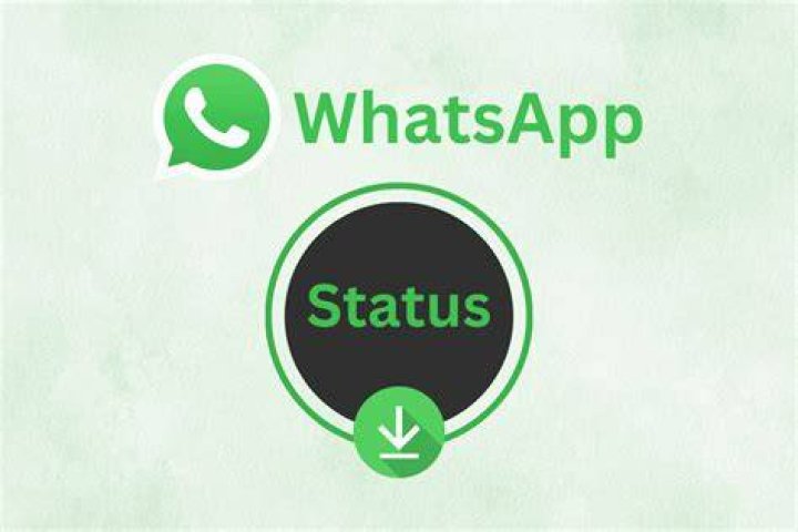 Status, Webshubz