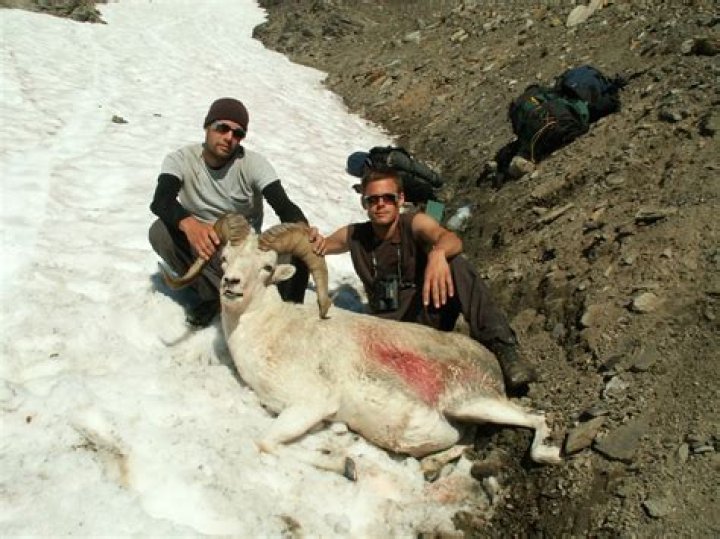 steven rinella wife USA News Collections