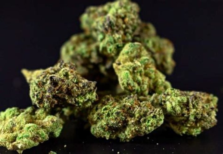 Strain Of The Week: Gushers - Culture Magazine - Girl Scouts Cookies Weed Strain