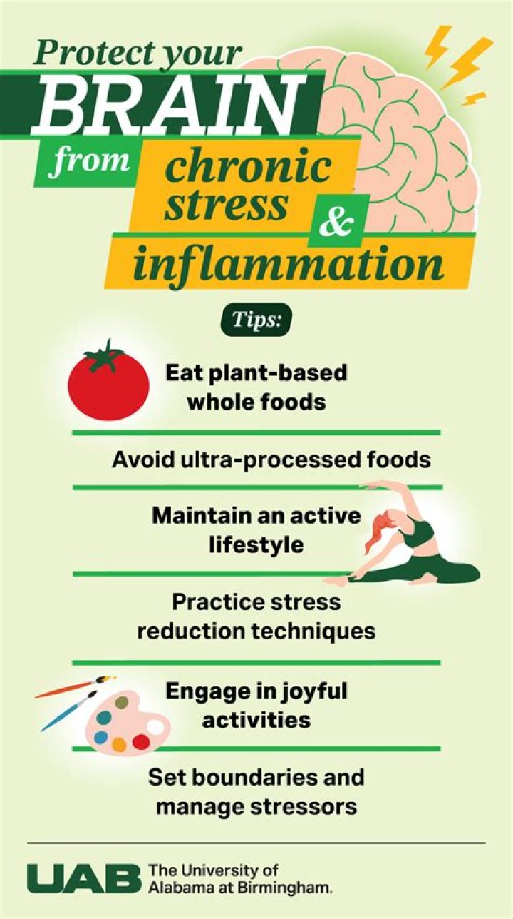 Stress And The Brain, Culinarychronicleshub