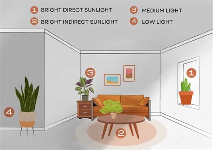 Sunlight Exposure, Gscthree