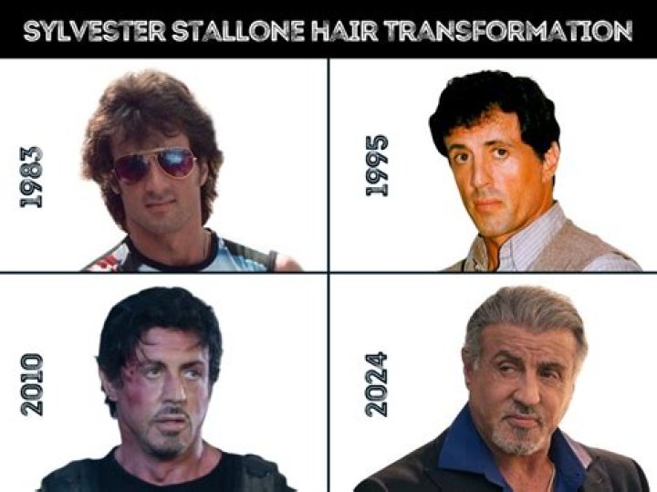 Sylvester Stallone's Iconic Hair: A Look Back At The Legend