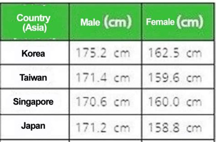 Taller Than Average Male, Gscseven