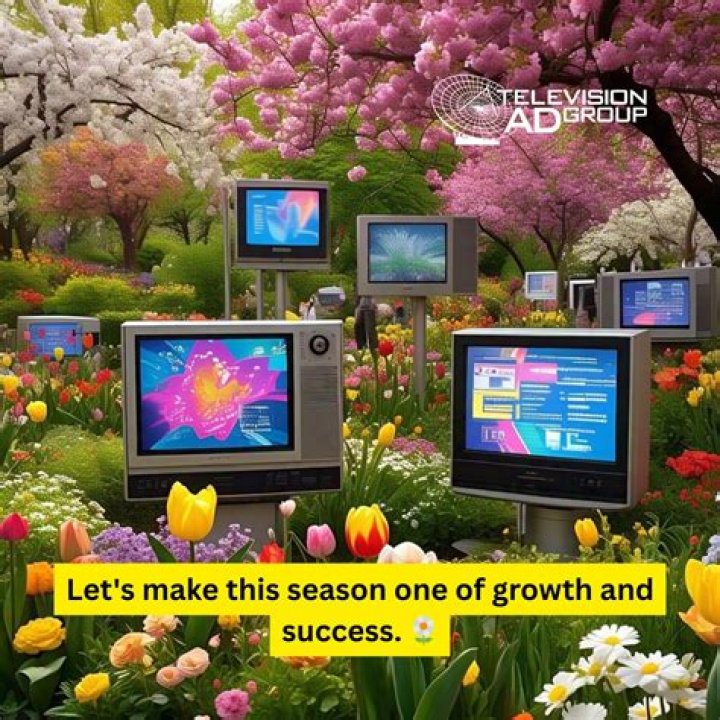 Television Success, Gscteen
