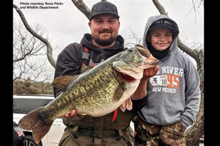 Texas Fishing Forum bhlasopa