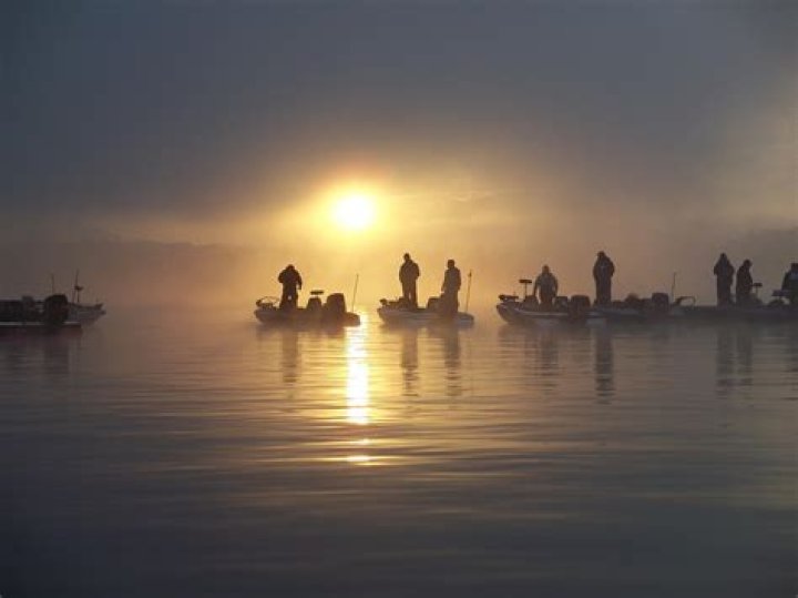 Texas Fishing Forum Lake Texoma